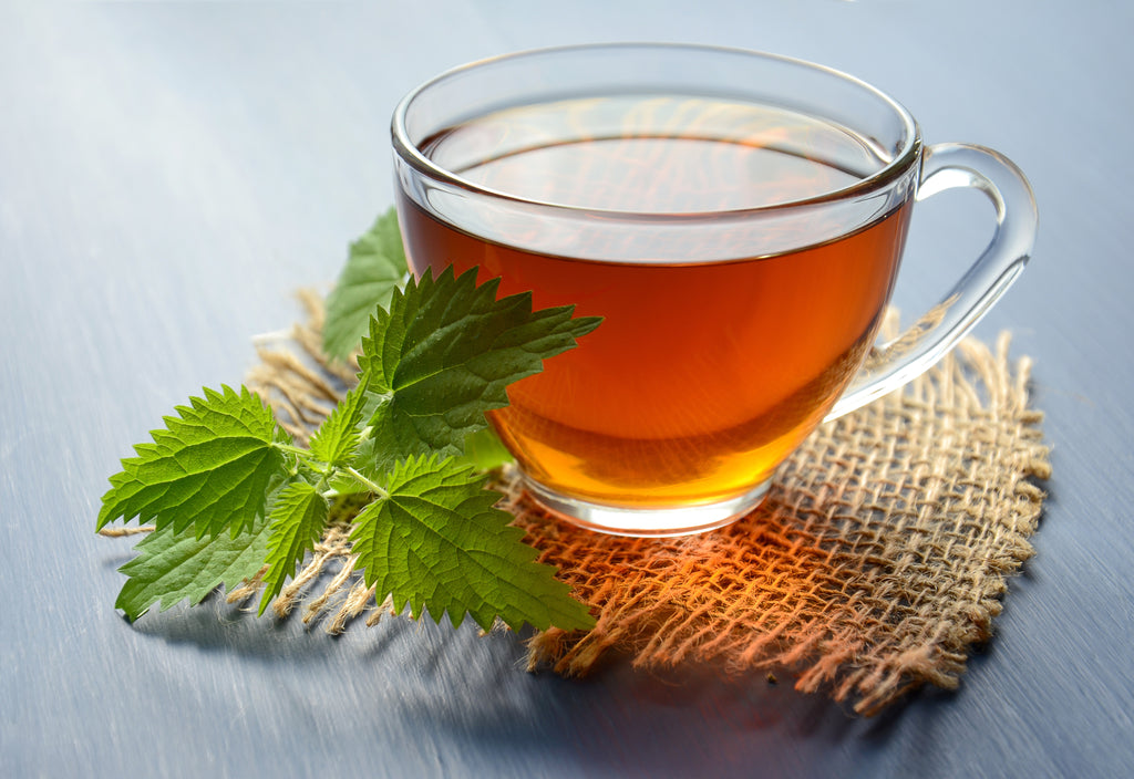 Organic Stinging Nettle Leaf (Hand Harvested & Naturally Dried)